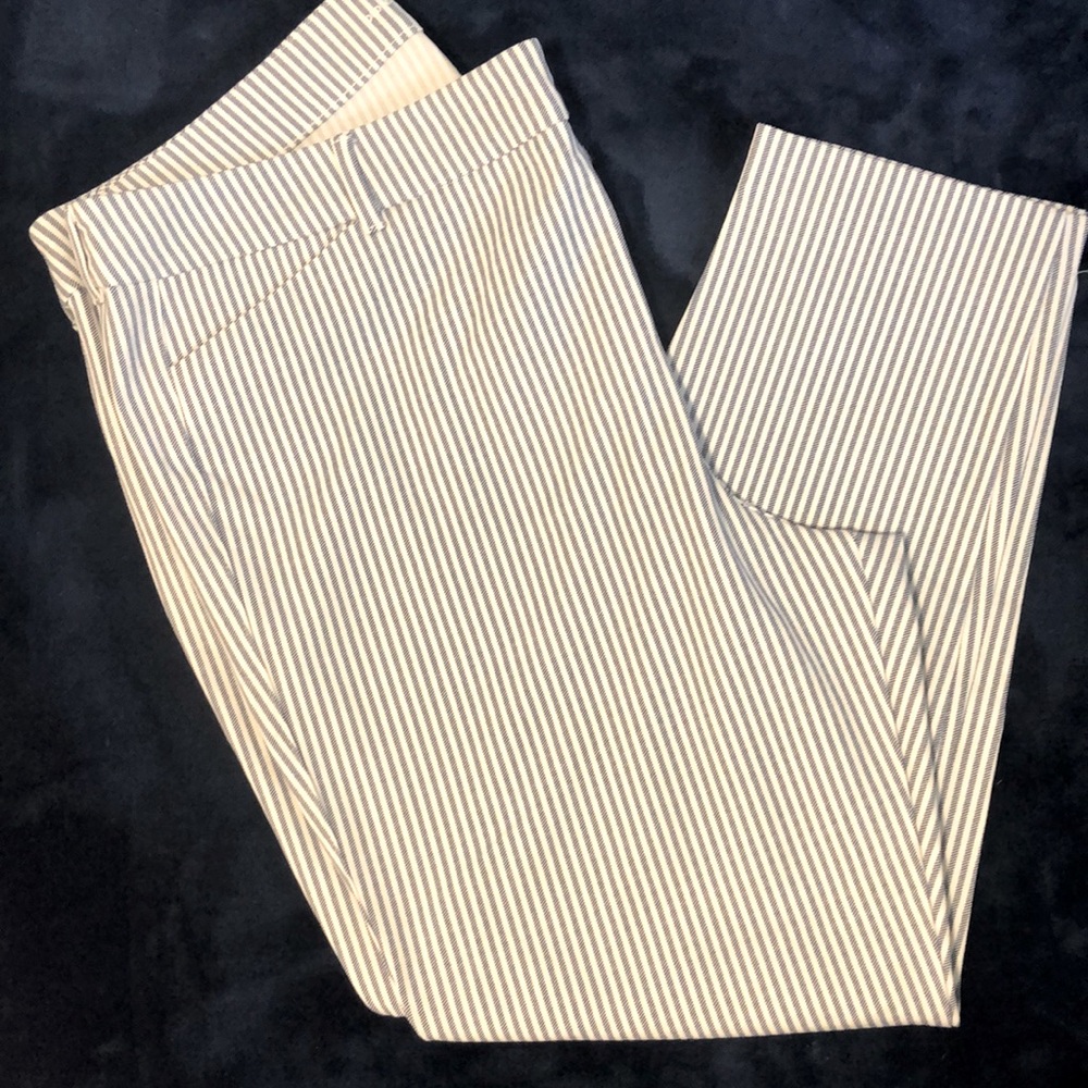 Curvy High-Waisted Pixie Skinny Ankle Pants